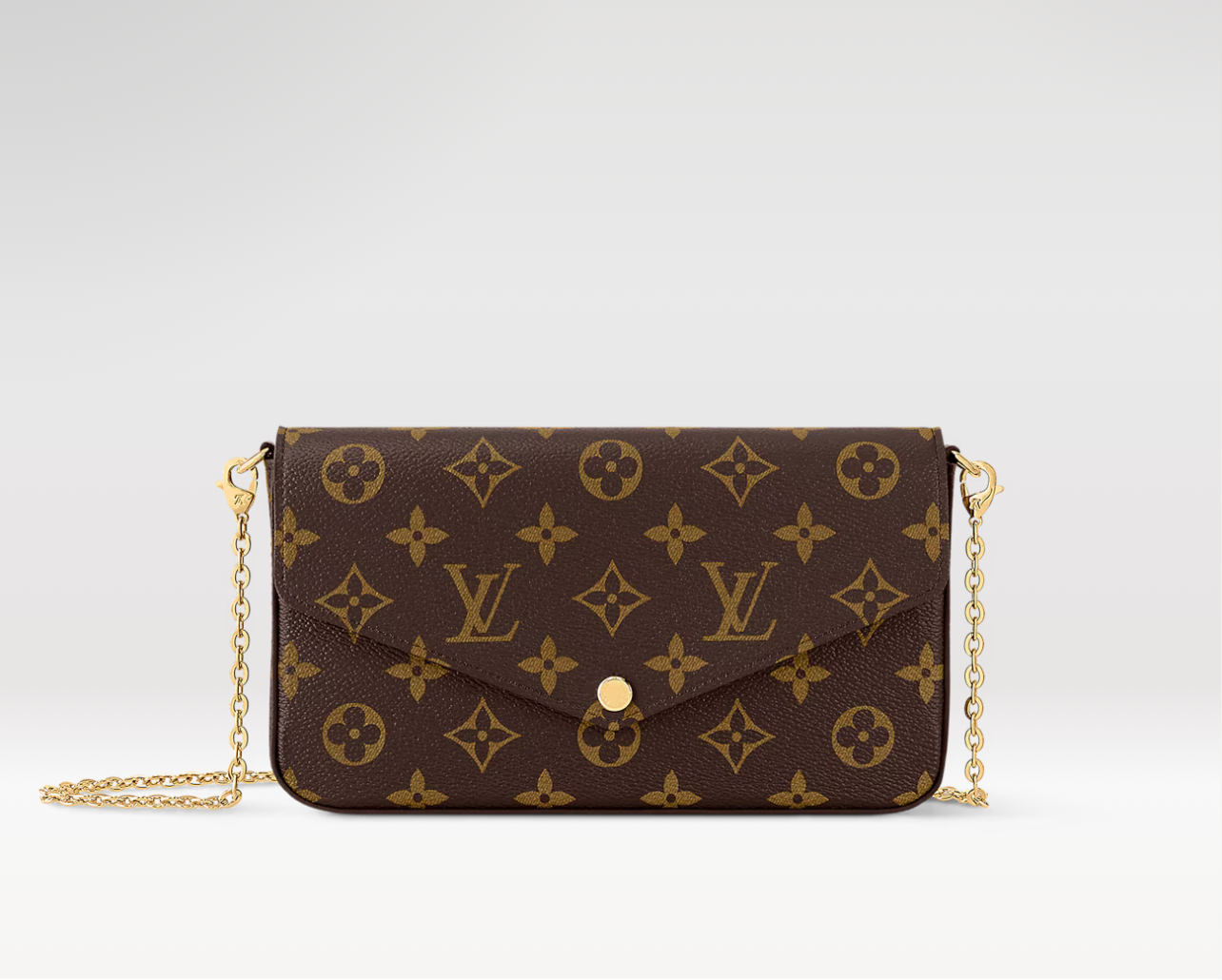 LV Pochette Félicie Bag